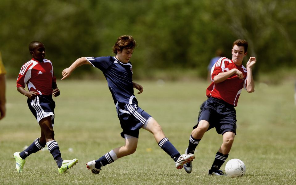 国际人官方网站 - 安全登录入口